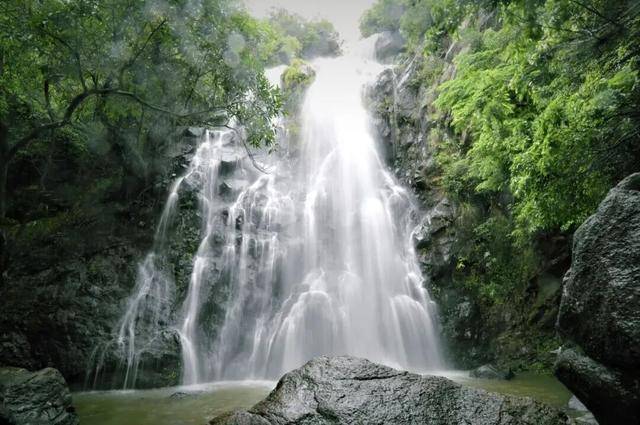 冬日浪漫！深圳坪山賞梅路線快收藏好