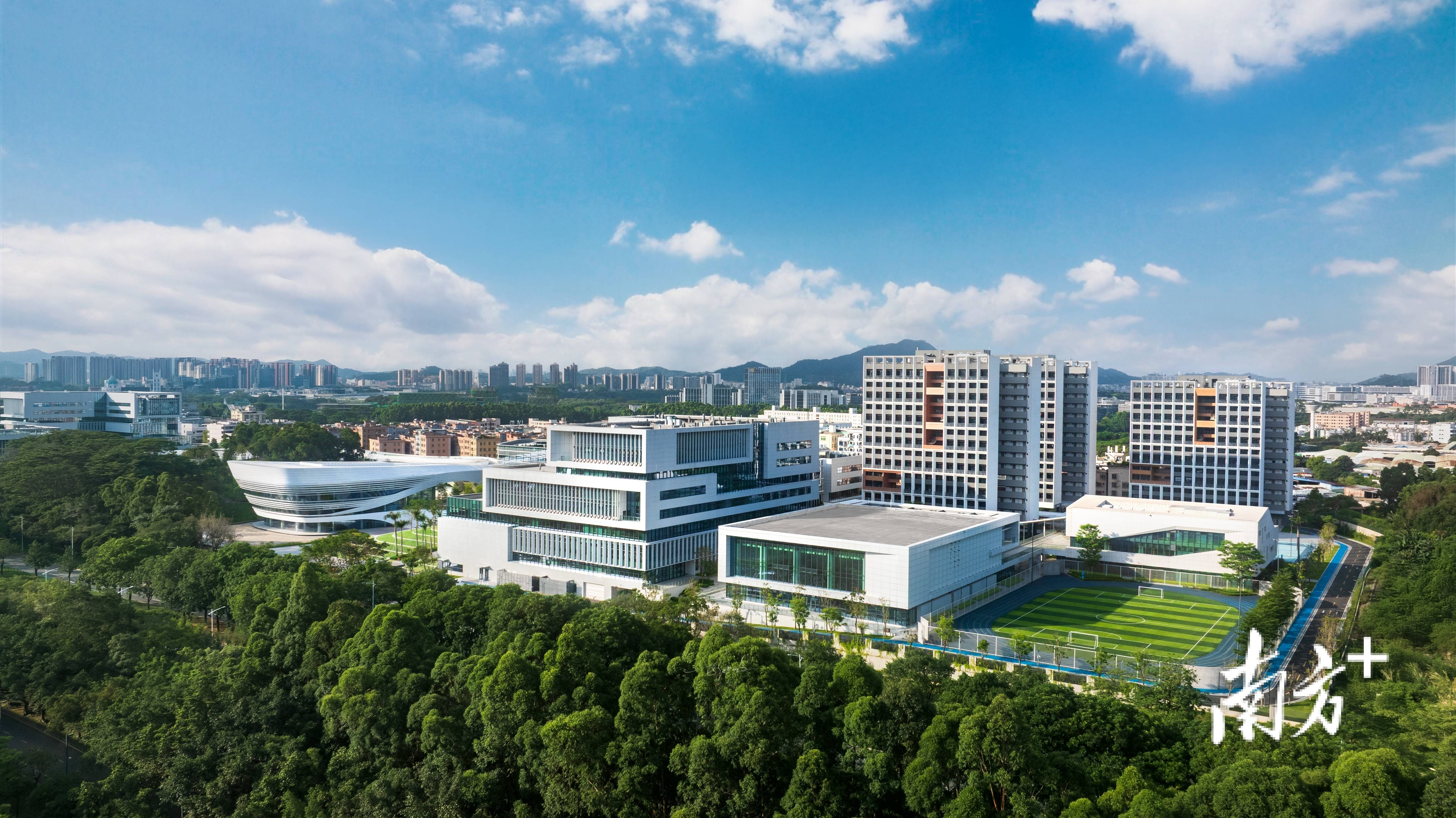 大灣區大學數學系成立，張宏坤領銜挑戰“高起點”難題