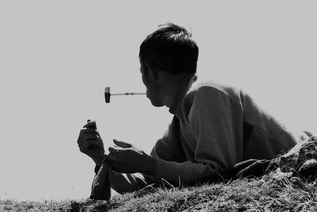 國際旅遊攝影網2026年國內外攝影路線全景指南