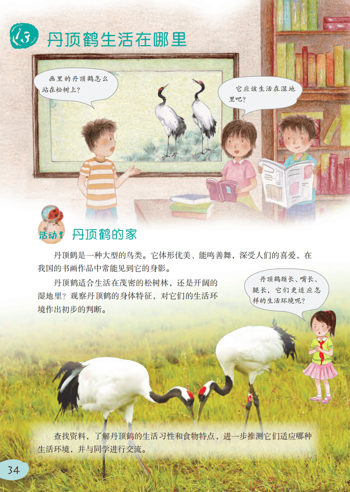 2026粵教版六年級科學下冊電子課本(PDF高畫質版新教材)