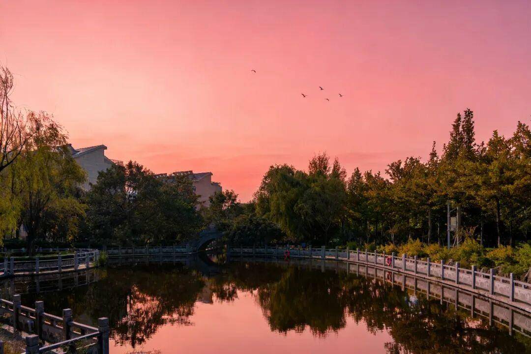 山東外國語職業技術大學招聘33名教師！