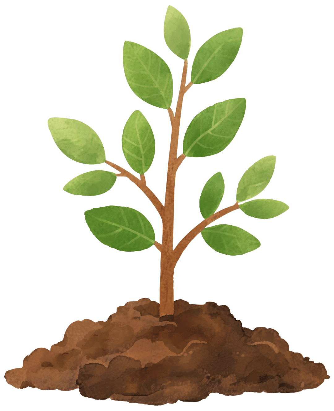 成都出發適合3月去的8個旅遊城市推薦！