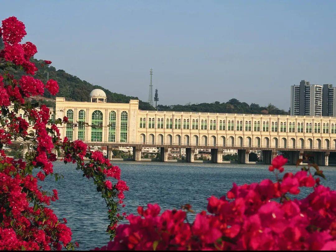 收藏！泉州春日賞花去哪裡？花期+地址全攻略