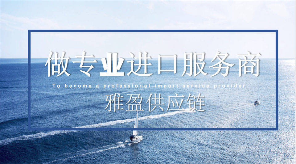 解鎖日本美食新機遇：雅盈為您提供專業清關與物流方案