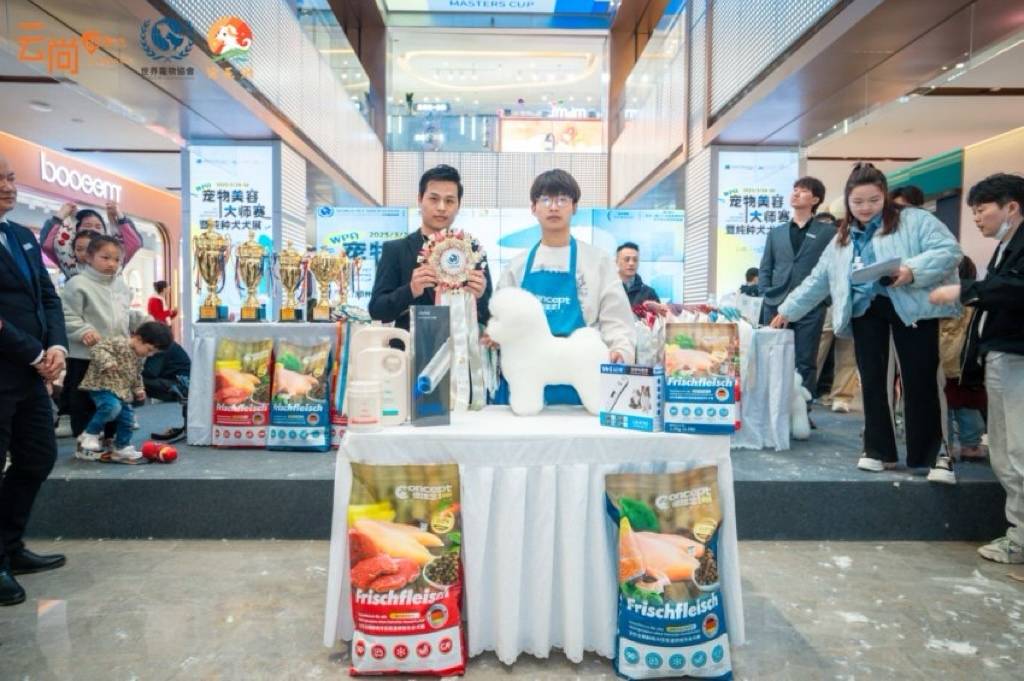 探尋寵物美容學校如何選擇，揭秘寵物美容服務價格範圍