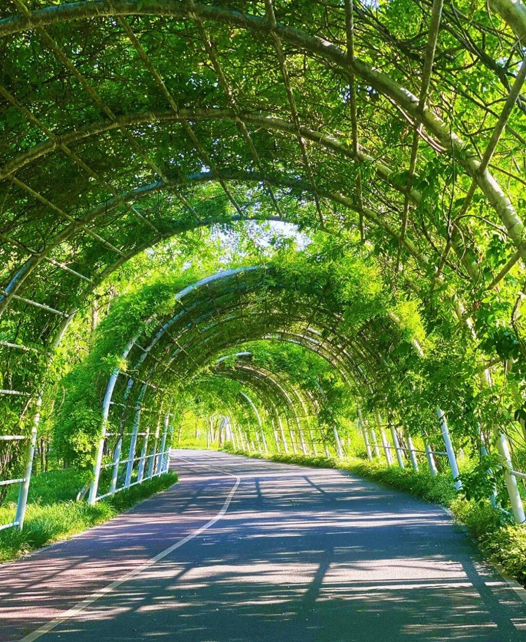 3條絕美騎行線，收藏春日上海！