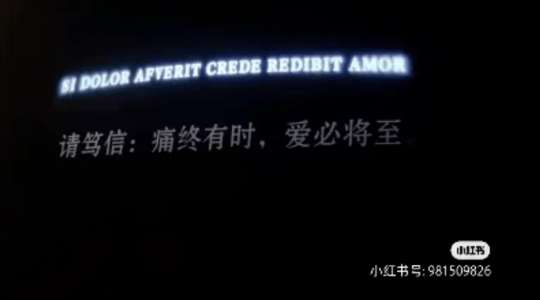 思辨作文必讀好素材！精選33句博物館裡找到的「滿分金句」，用作分論點超讚！