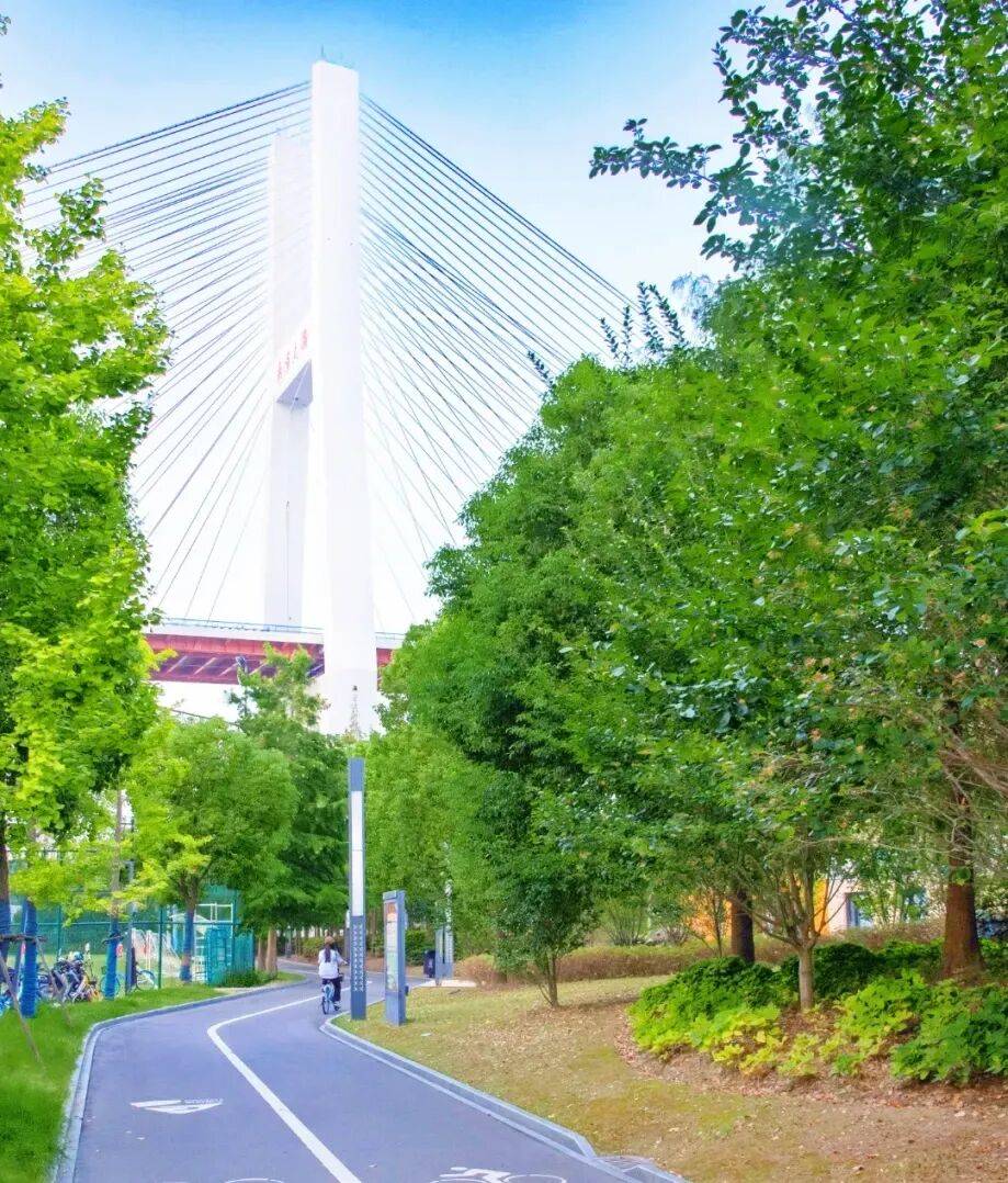 3條絕美騎行線，收藏春日上海！