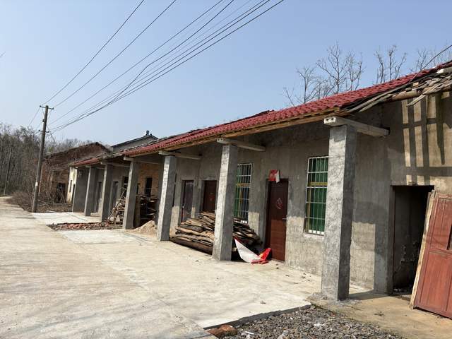 遊歷雅記：風渡柳湖，山河敘語——感人至深的移民故事