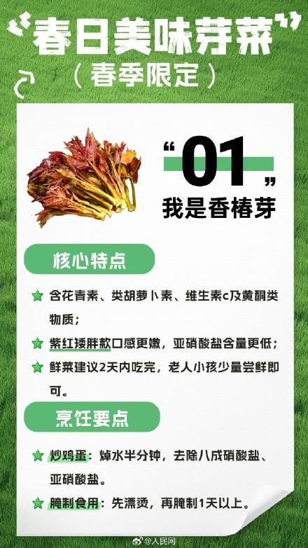 收藏！春日芽菜這樣吃健康美味