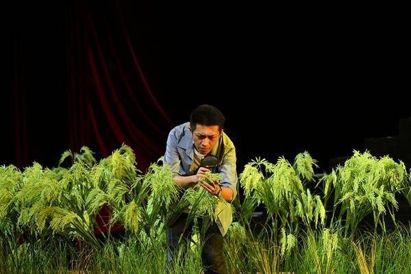 西南大學原創話劇《袁隆平》熱映——“袁隆平學長又回到了我們身邊”