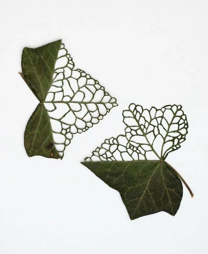 她用針線在幹樹葉上刺繡，最終完成的作品，讓人直呼驚豔
