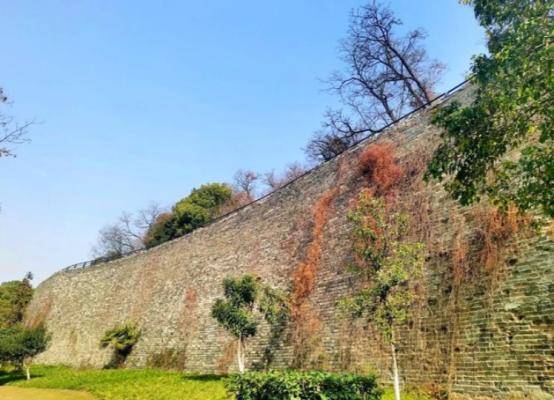 原創古代沒有水泥，為啥南京明城牆600年屹立不倒？其材料我們經常吃