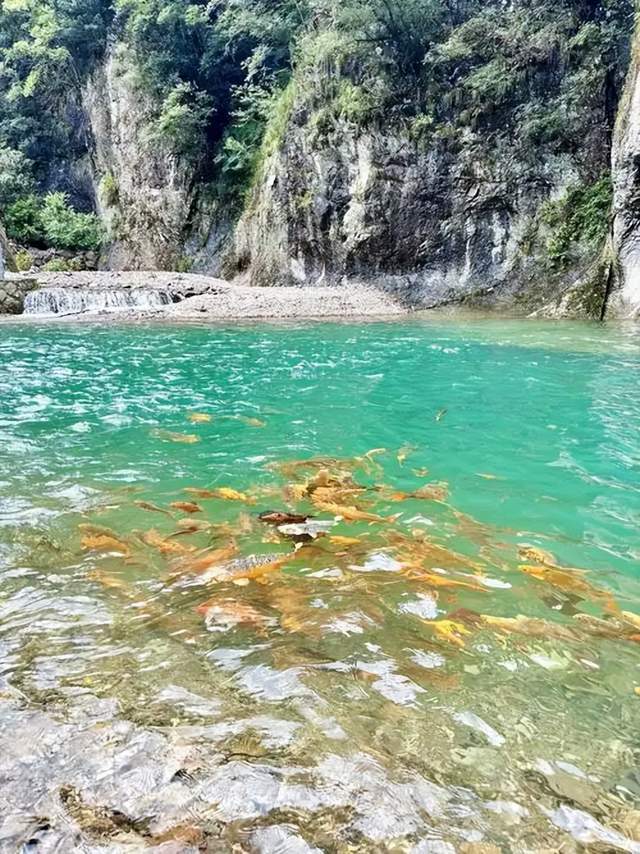 假期旅遊，來浙江台州淡竹打個卡！