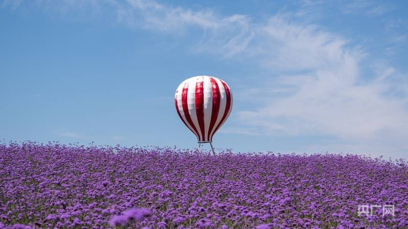 漠域花海 塞上奇景——寧夏薰衣草旅遊度假區