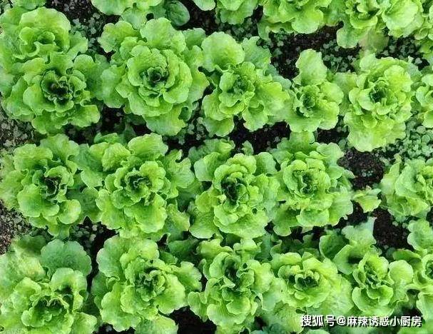 原創10分鐘一盤紅糖餈粑，補血美容又養胃，外酥裡糯，女人最適合吃！